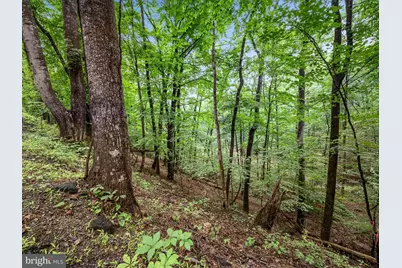 Valley View Road, Basye, VA 22810 - Photo 3