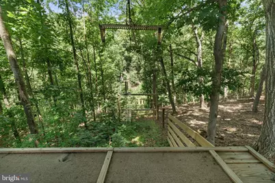 1483 Tea Berry Road, Toms Brook, VA 22660 - Photo 63