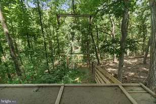 1483 Tea Berry Rd, Toms Brook, VA 22660 - Photo 63