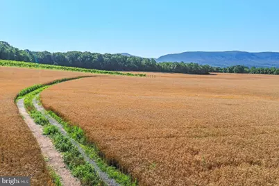 S Ox Rd Edinburg, Edinburg, VA 22824 - Photo 9