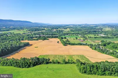 S Ox Rd Edinburg, Edinburg, VA 22824 - Photo 3