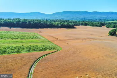 S Ox Rd Edinburg, Edinburg, VA 22824 - Photo 17