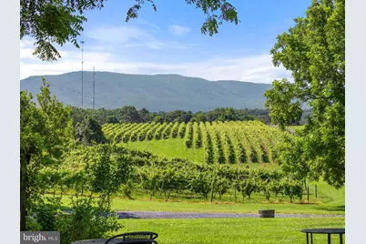 3659 S Ox Road, Edinburg, VA 22824 - Photo 63