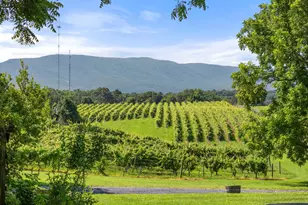 3659 S Ox Rd, Edinburg, VA 22824 - Photo 63