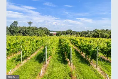 3659 S Ox Road, Edinburg, VA 22824 - Photo 61