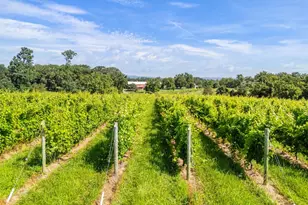 3659 S Ox Rd, Edinburg, VA 22824 - Photo 61