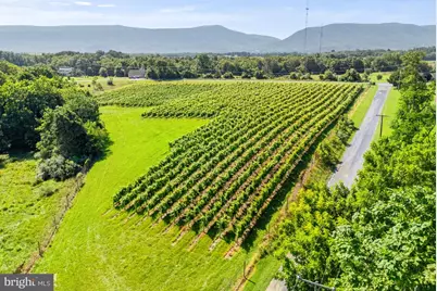 3659 S Ox Road, Edinburg, VA 22824 - Photo 59