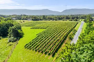 3659 S Ox Rd, Edinburg, VA 22824 - Photo 59