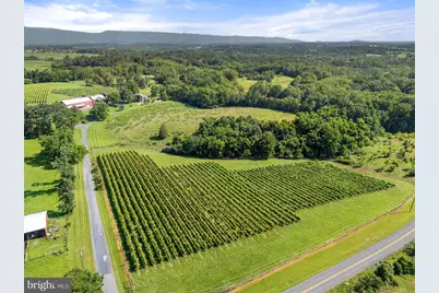 3659 S Ox Road, Edinburg, VA 22824 - Photo 53