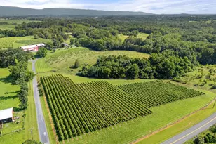 3659 S Ox Rd, Edinburg, VA 22824 - Photo 53