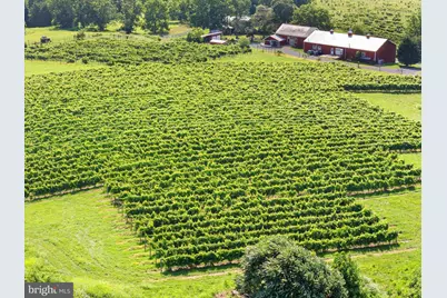 3659 S Ox Road, Edinburg, VA 22824 - Photo 55