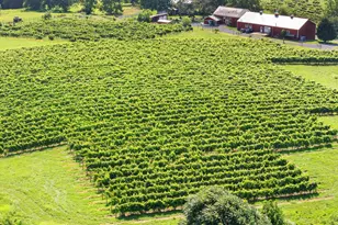 3659 S Ox Rd, Edinburg, VA 22824 - Photo 55