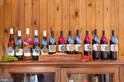 3659 S Ox Road, Edinburg, VA 22824 - Photo 23