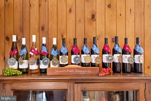 3659 S Ox Rd, Edinburg, VA 22824 - Photo 23