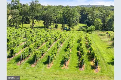 3659 S Ox Road, Edinburg, VA 22824 - Photo 57