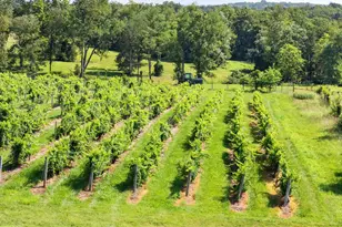 3659 S Ox Rd, Edinburg, VA 22824 - Photo 57