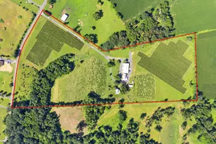 3659 S Ox Rd, Edinburg, VA 22824 - Photo 5