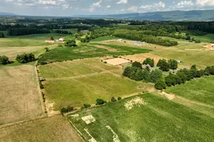 1615 Pleasant View Rd, Mount Jackson, VA 22842 - Photo 111