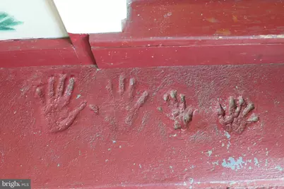 1615 Pleasant View Road, Mount Jackson, VA 22842 - Photo 57