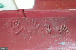 1615 Pleasant View Rd, Mount Jackson, VA 22842 - Photo 57