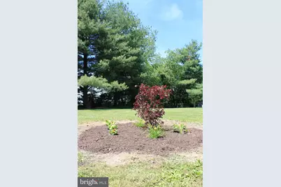 1615 Pleasant View Road, Mount Jackson, VA 22842 - Photo 101