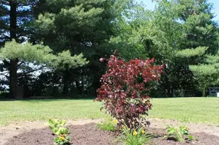 1615 Pleasant View Rd, Mount Jackson, VA 22842 - Photo 101