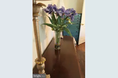 1615 Pleasant View Road, Mount Jackson, VA 22842 - Photo 53