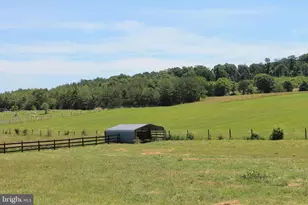 1615 Pleasant View Rd, Mount Jackson, VA 22842 - Photo 105