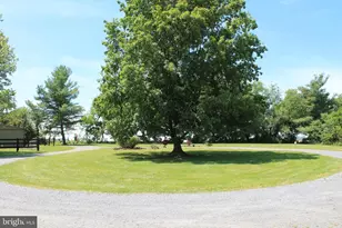 1615 Pleasant View Rd, Mount Jackson, VA 22842 - Photo 99