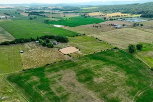 1615 Pleasant View Rd, Mount Jackson, VA 22842 - Photo 115