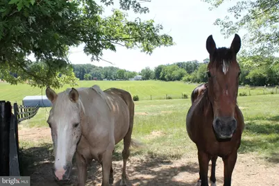 1615 Pleasant View Road, Mount Jackson, VA 22842 - Photo 97