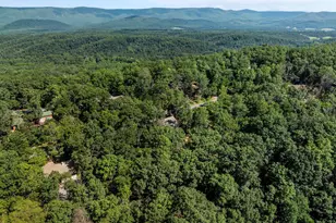 139 Maple Ave, Mount Jackson, VA 22842 - Photo 45