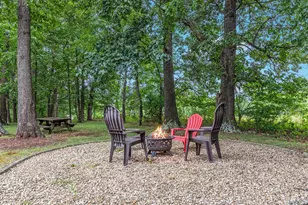 254 Carte Ln, Mount Jackson, VA 22842 - Photo 37