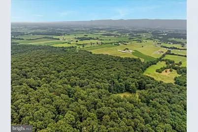 254 Carte Lane, Mount Jackson, VA 22842 - Photo 67