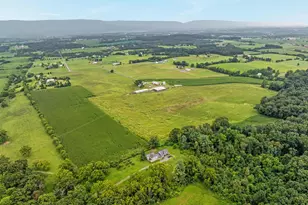 254 Carte Ln, Mount Jackson, VA 22842 - Photo 69