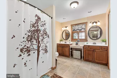 254 Carte Lane, Mount Jackson, VA 22842 - Photo 19