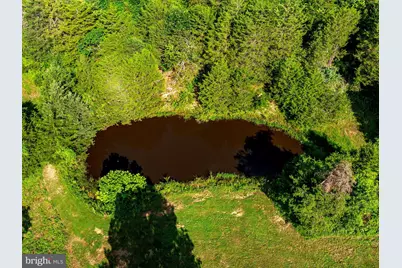 Senedo, Mount Jackson, VA 22842 - Photo 9