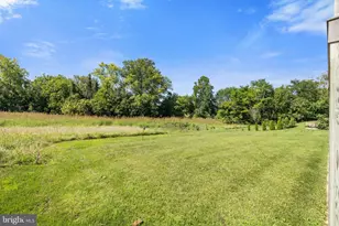 104 Courtyard Terrace, New Market, VA 22844 - Photo 73