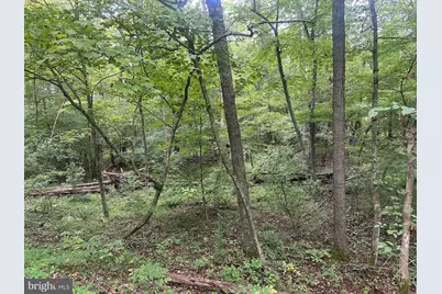 Tbd Van Buren Road, Maurertown, VA 22644 - Photo 3