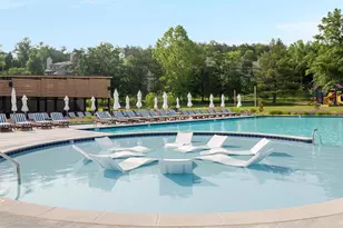 268 Dogwood Dr, Mount Jackson, VA 22842 - Photo 123