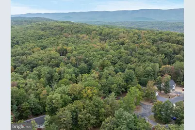 268 Dogwood Drive, Mount Jackson, VA 22842 - Photo 117