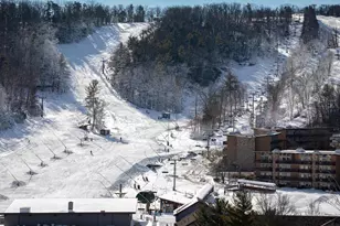 268 Dogwood Dr, Mount Jackson, VA 22842 - Photo 131