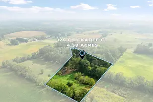 126 Chickadee Ct, Woodstock, VA 22664 - Photo 63