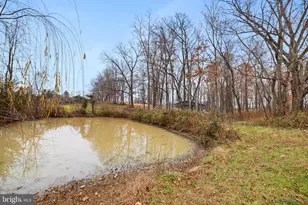 126 Chickadee Ct, Woodstock, VA 22664 - Photo 79