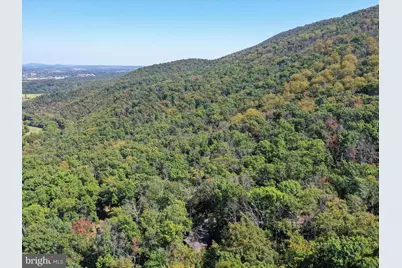 570 Cedar Road, Strasburg, VA 22657 - Photo 37