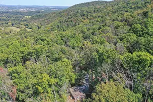 570 Cedar Rd, Strasburg, VA 22657 - Photo 41