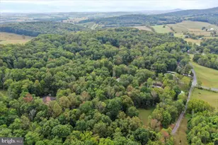 2726 Cave Ridge Rd, Mount Jackson, VA 22842 - Photo 37