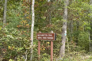 100 Wolfs Ln, Fort Valley, VA 22652 - Photo 29