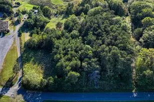 100 Wolfs Ln, Fort Valley, VA 22652 - Photo 33