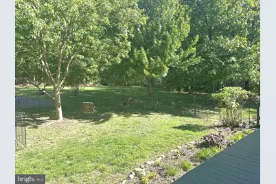 2891 Saumsville Road, Maurertown, VA 22644 - Photo 133